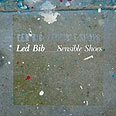 "Sensible Shoes"