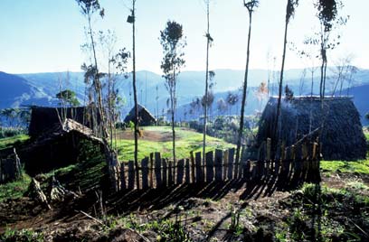 המורדים עדיין מקיימים את המנהגים המסורתיים. פפואה גינאה החדשה (צילום: index open) (צילום: index open)
