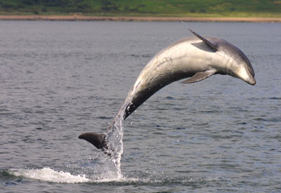 צילום: Susan Maersk Lusseau