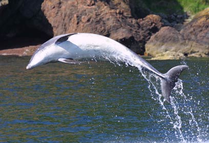 צילום: Susan Maersk Lusseau