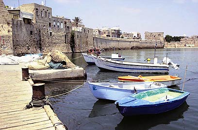 צילום: רוני שיצר צילום: רוני שיצר