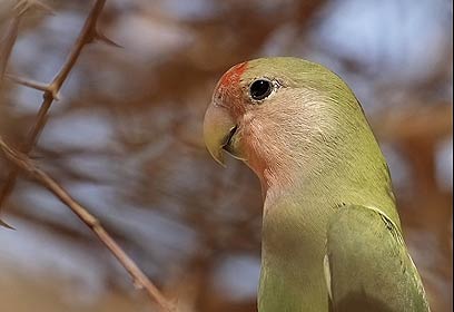 צילום: יניב גיא