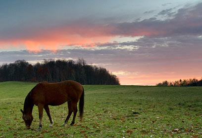 צילום: איתי מוניקנדם