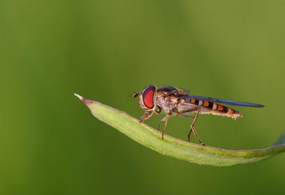 צילום: ארז אברהם צילום: ארז אברהם