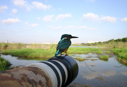 צילום: כדן אוזלבו צילום: כדן אוזלבו