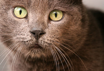 צילום: כדן אוזלבו צילום: כדן אוזלבו