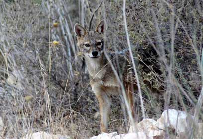 צילום: נדב כנען צילום: נדב כנען