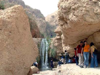 צילום: אריאל כרמון צילום: אריאל כרמון