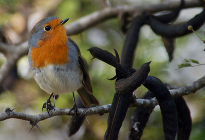 צילום: ליאור קיסרי צילום: ליאור קיסרי