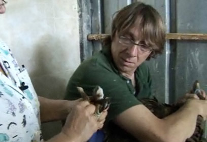 צילום: רועי גזית ויהונתן צור