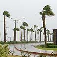 רוחות עזות בלוס קאבוס   