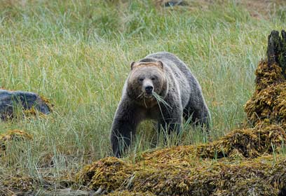 צילום: אמיר איילון