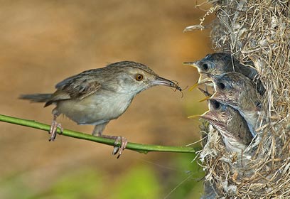צילום: יקי זנדר