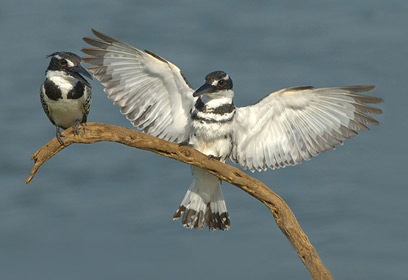 צילום: יקי זנדר