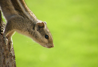 צילום: מורלי בן דוד