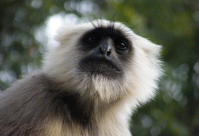 צילום: מורלי בן דוד