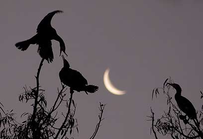 צילום: פיני בן חמו