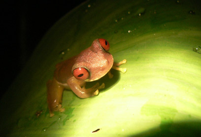 צילום: איילת לובצקי