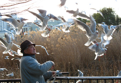 צילום: איילת לובצקי
