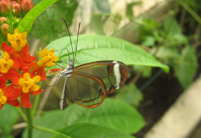 צילום: איילת לובצקי