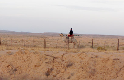 צילום: רועי מסלטי צילום: רועי מסלטי