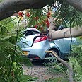 אחת המכוניות ההרוסות       