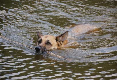 צילום: אסף אילן