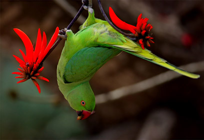 צילום: דורית חיימובסקי