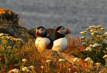 צילום: הדה פלק