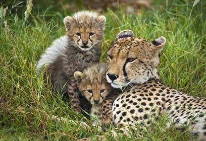 צילום: מנחם סיני