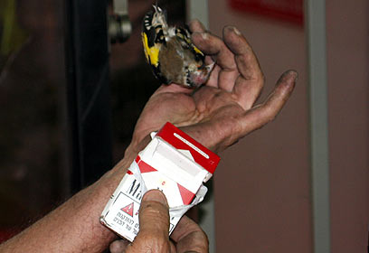 צילום: אריה קלר, רשות הטבע והגנים