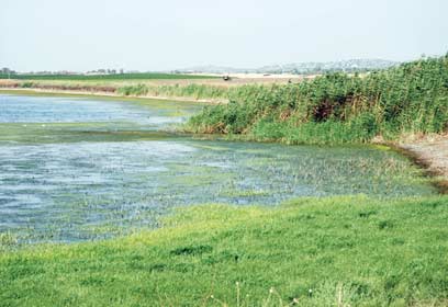 צילום: עזרא חדד