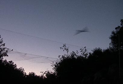 צילום: ארז ארליכמן צילום: ארז ארליכמן