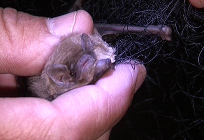 צילום: ארז ארליכמן צילום: ארז ארליכמן