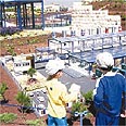 ביקור ב"מיני ישראל"