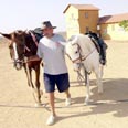 "סוס במסלול". הבייבי החדש של גולן