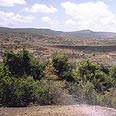 הגליל. "עומד מולך שוקת שבורה"