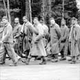 אסירים במחנה דכאו. מתוך ארכיון יד ושם