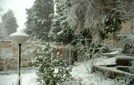 שלג קיבוץ סאסא