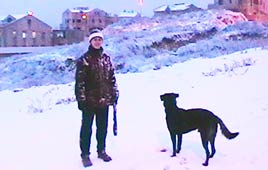 שלג בירושלים