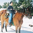 סוסים בגולן. היום סגור, מחר לא