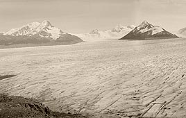 עדויות להעלמות קרחונים והתמוססותם