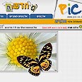 Pic4U. לא מהחבר'ה שלנו