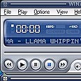 Winamp 5. נגן אולטימטיבי