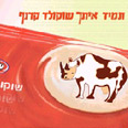למה לא אוגנדה? מותגים ישראלים באפריקה