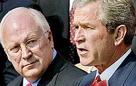 סגן נשיא ארה