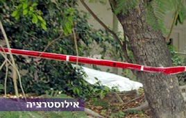 פעוטה הושלכה מבניין