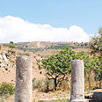 גוש חלב. מכאן נגנבו עתיקות