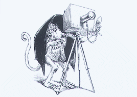 מרד הארנבים אריאל דורפמן