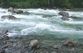 נהר פירטיניה